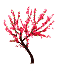 手绘樱花