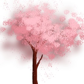 手绘樱花