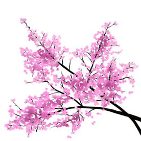手绘桃花