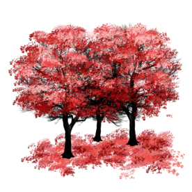 樱花素材