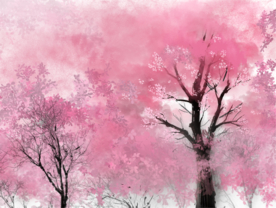樱花素材