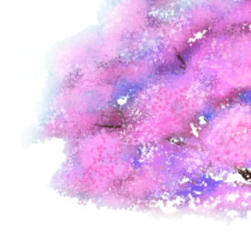 樱花素材