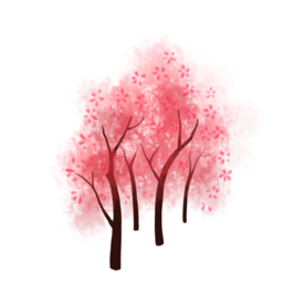 樱花素材