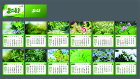 2021绿色护眼台历