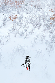 霜降