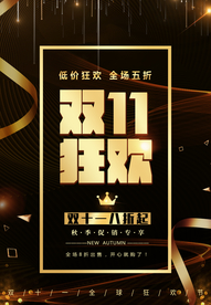 疯狂双十一