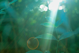 大自然风景摄影