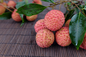 桂味荔枝