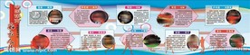 中国体育十大风云人物