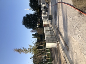 商场精神堡垒 在建