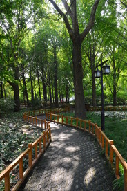 园林风景