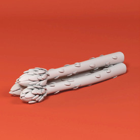 芦笋 蔬菜 积木 玩具 模型