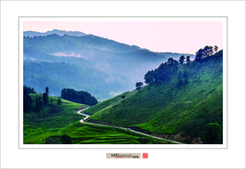 霍州山间小路