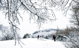 雪地景观
