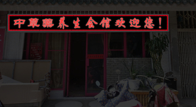 LED 显示屏