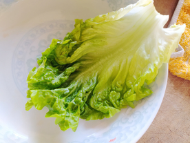 新鲜莴苣