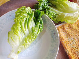 生菜