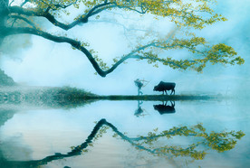 美丽的乡村风景