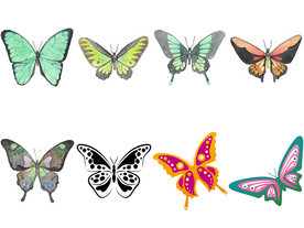 卡通蝴蝶