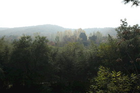 寂静山林