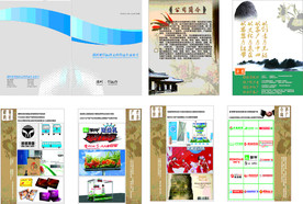 公司宣传册