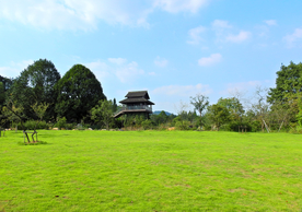 草坪