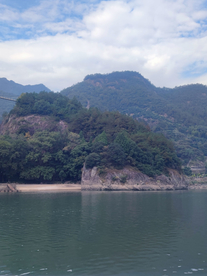 实拍青田石门洞景区蓝花草