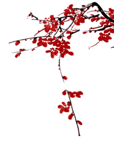 梅花 水墨梅花