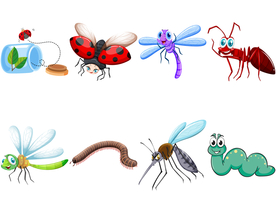 卡通昆虫