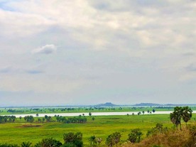 天空 草地 非洲