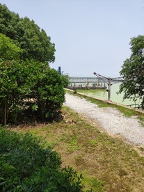 马山风景