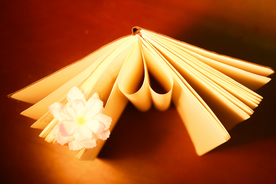 商务办公主题摄影