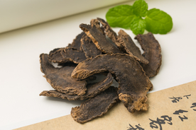 玄参