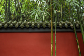竹子红墙