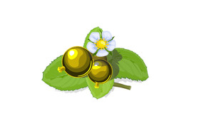 菜金丹植物