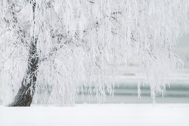 冰雪