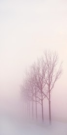 冰雪