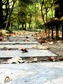 幽静小路