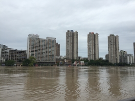 城市