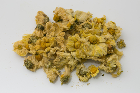 杭白菊