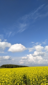 草原天空