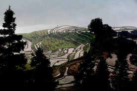 梯田风景