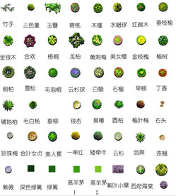 景观绿化