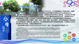 公司简介
