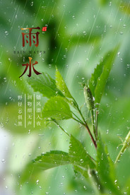 雨水