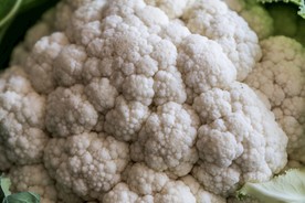 白色花菜 营养花菜 健康花菜