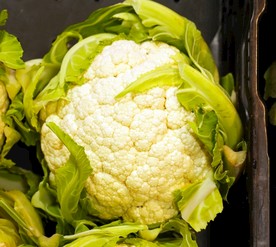 白色花菜 营养花菜 健康花菜