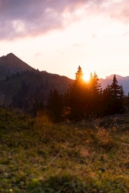 自然风景