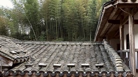 农村建筑砖瓦房