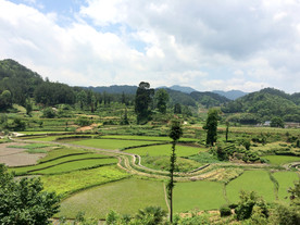 山水田园